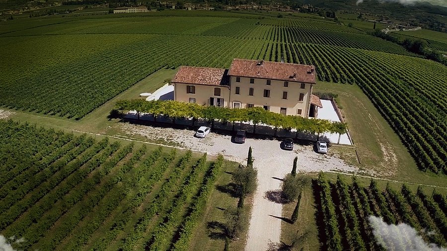 Buglioni Wine dinner with Patrick Okubo 3/10/26